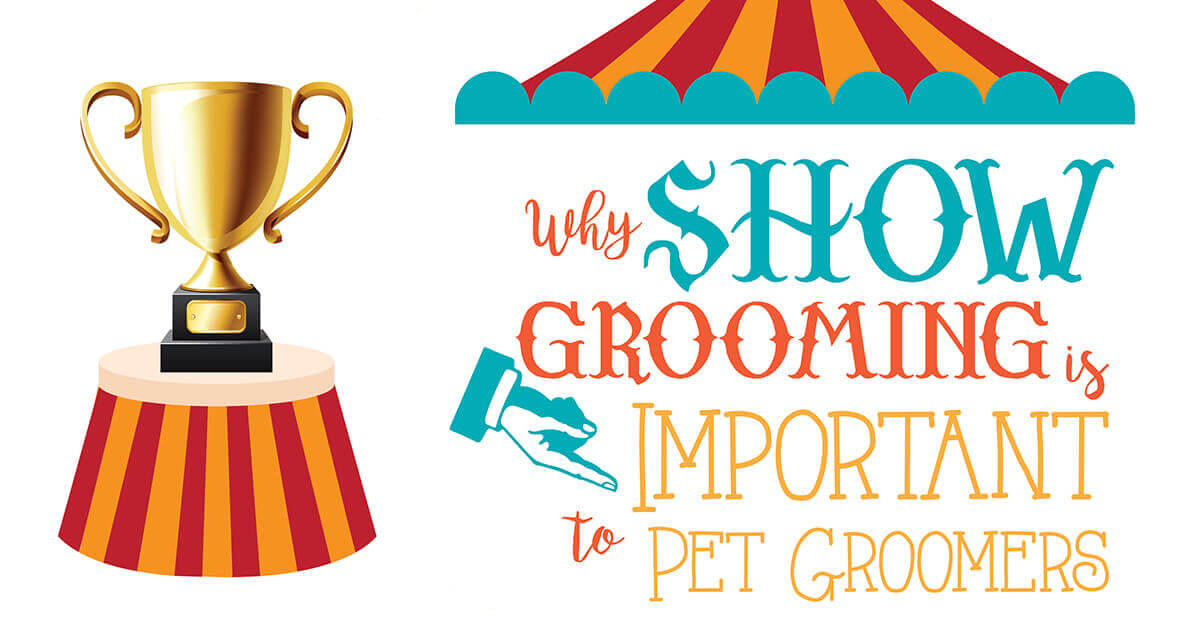 Why Show Grooming Is Important To Pet Groomers Groomer to Groomer