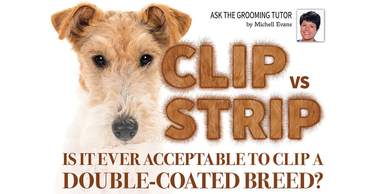 can you hand strip a neutered dog
