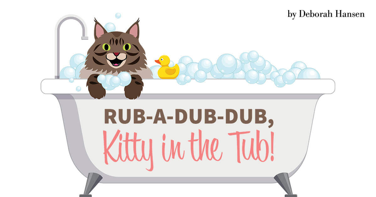 Rub A Dub Dub Kitty In The Tub Groomer To Groomer